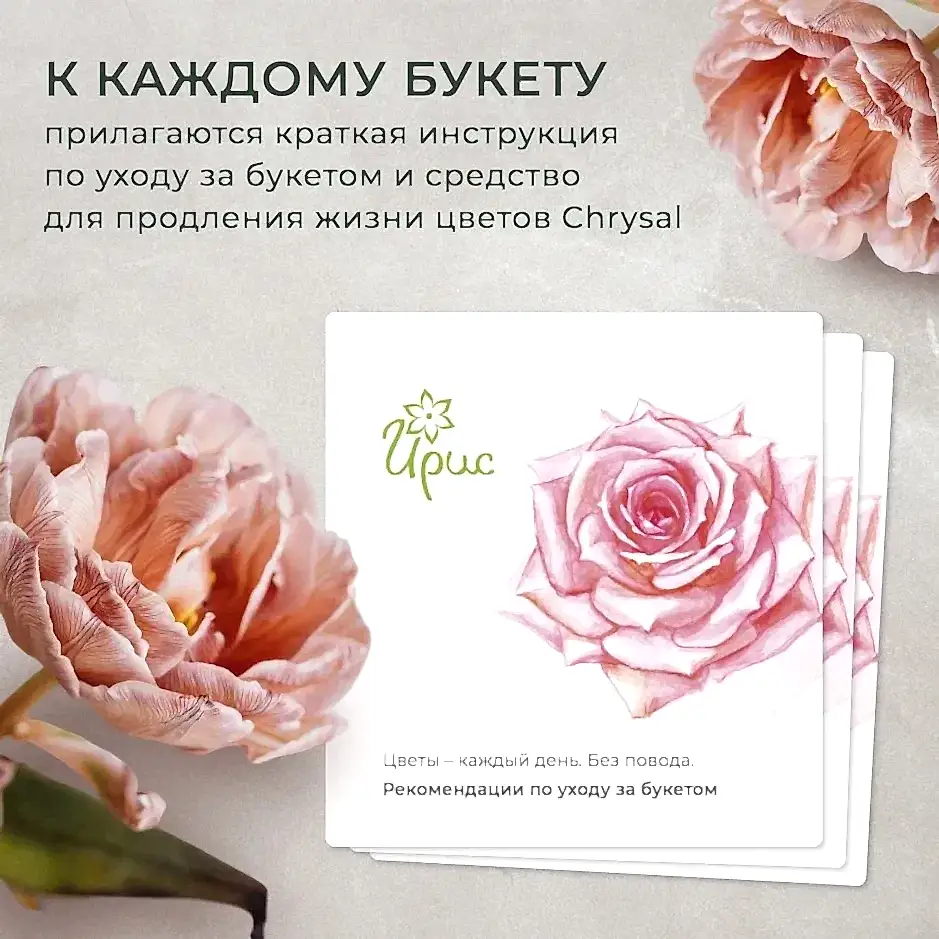 монобукет 7 пионовидных роз "campanella" под ленту 