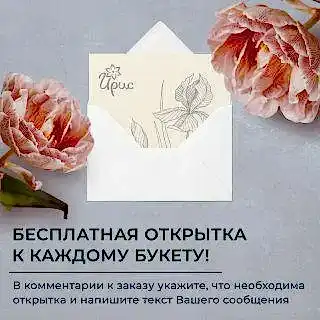 монобукет из 5 кустовых терракотовых хризантем 