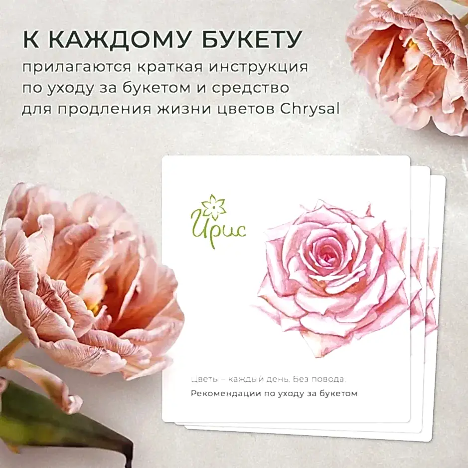 Флорариум Бутылка 3 фиттония 