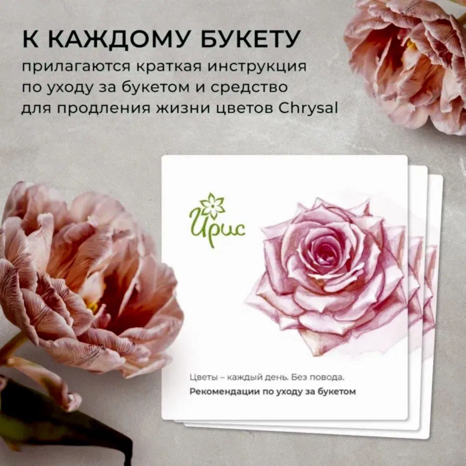 букет из 17 роз pink floyd 