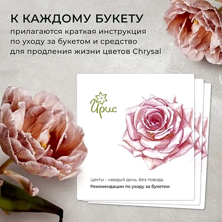 композиция "белоснежный уют" 
