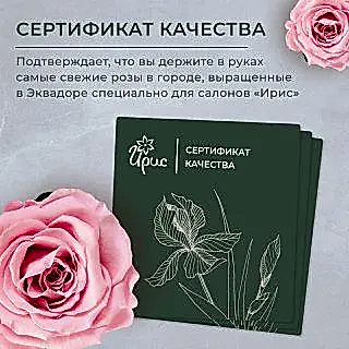 монобукет из 19 лавандовых тюльпанов 